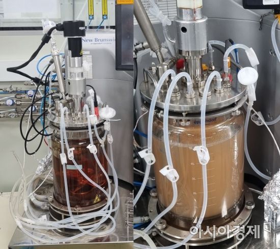 배양이 이뤄지기 전 투명한 배양액이 담긴 바이오리액터(왼쪽 사진)과 배양이 시작되면서 뿌옇게 된 바이오리액터(오른쪽 사진). /사진=이춘희 기자
