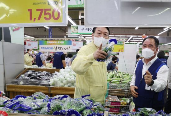 윤석열 대통령이 11일 서울 서초구 양재동 하나로마트 양재점에서 채소 물가 상황을 점검하며 가격표를 확인하고 있다. [이미지출처=연합뉴스]