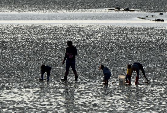 장항갯벌에서 체험하는 가족