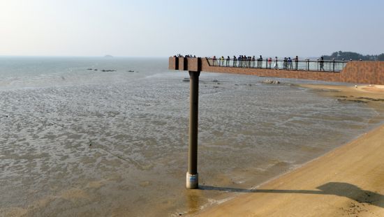 장항숲 스카이워크