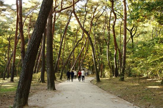 화성 융릉과 건릉