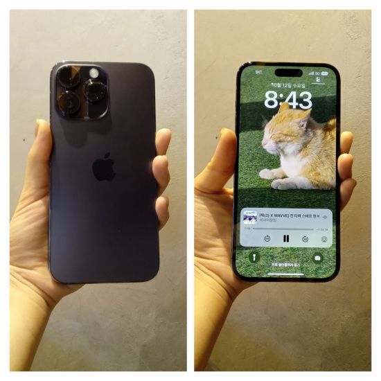 아이폰14 프로맥스