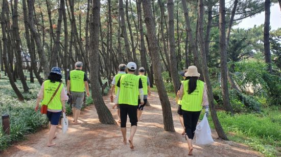 맨발학교 포항지회 활동 모습.