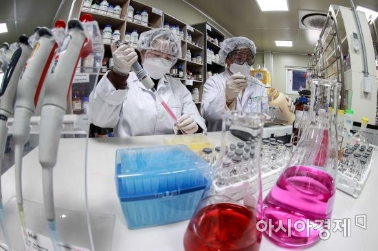 국내 한 바이오벤처기업의 연구원들이 신약 연구에 몰두하고 있다./강진형 기자aymsdream@