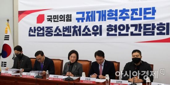 한무경 국민의힘 규제개혁추진단 산자중기소위 의원이 18일 국회에서 열린 '규제개혁추진단 산업중소벤처소위 현안간담회'에 참석, 발언을 하고 있다. 사진=윤동주 기자 doso7@