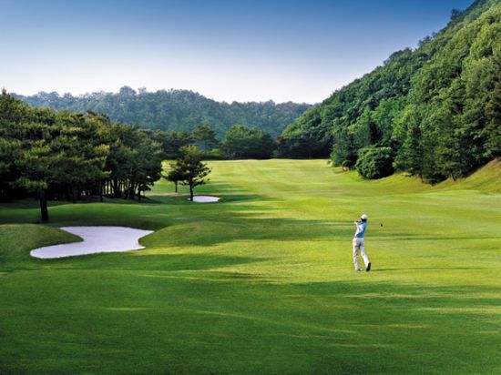 세종에머슨CC 전경.