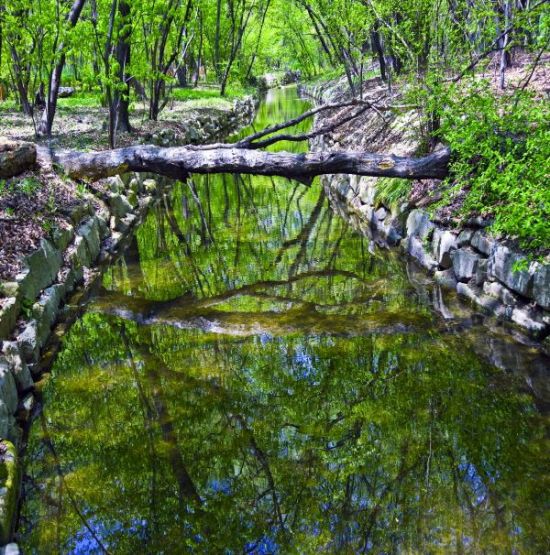 상림숲길 [사진제공=함양군]