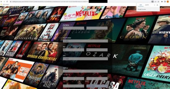 보안접속 확인 이후 연결되는 피싱 페이지