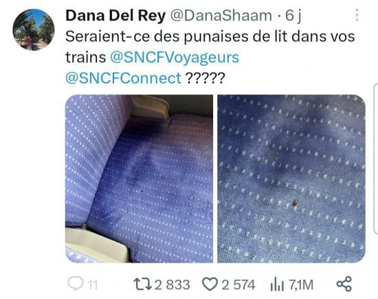 프랑스 기차 좌석에서 발견된 빈대[이미지출처= 엑스 캡처, 연합뉴스]