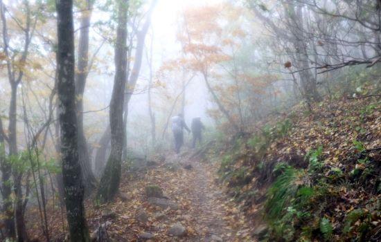 노고단에서 임걸령까지는 무난한 길이 이어진다