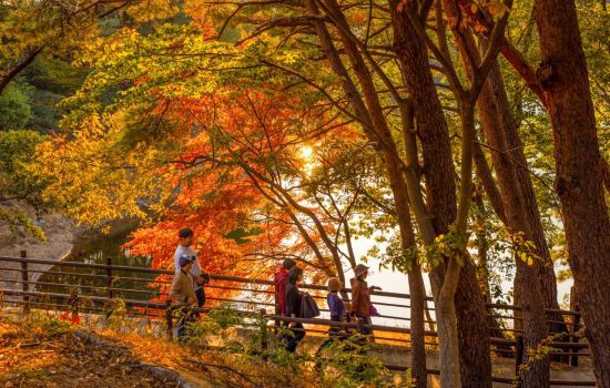 자연과 오롯이 마주하는 천은사 상생의길