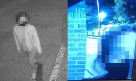 지난 2020년 비 소속사에서 공개한 CC(폐쇄회로)TV 캡처 화면. 한 여성이 비·김태희 자택을 찾아와 초인종을 누르고 있다. [사진=써브라임아티스트에이전시]