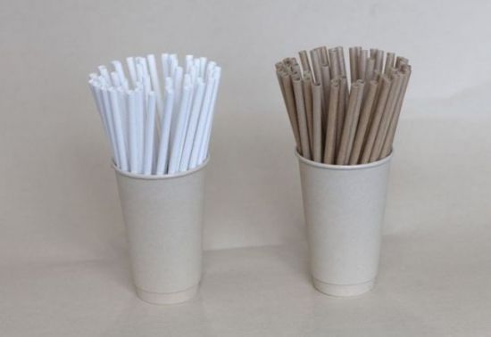 11일 누리다온 등 5개 종이 빨대 업체는 재정 위기를 해결하기 위해 공동판매 홈페이지를 열었다고 밝혔다. 이곳에선 5개 업체가 생산한 국내산 종이 빨대를 브랜드 구분 없이 같은 가격으로 판매한다. 생존 위기에 처한 종이 빨대 업체가 공동판매를 희망할 경우 참여 업체를 늘려 동일 조건으로 판매할 계획이다. [사진=아시아경제DB]