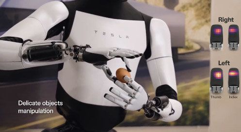 테슬라가 개발한 휴머노이드 로봇 '옵티머스 젠2'이 계란은 잡고 있는 모습. [이미지출처=엑스(X·옛 트위터) 캡처]