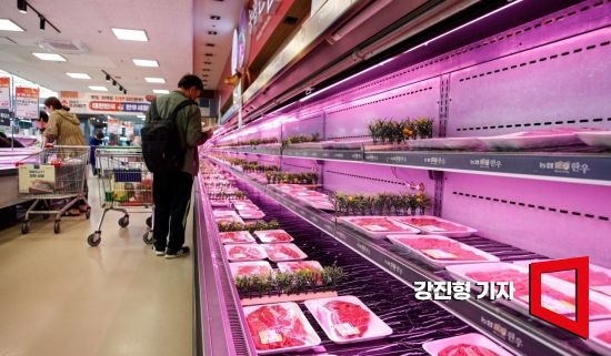 서울 서초구 양재하나로마트를 찾은 고객들이 한우를 보고 있다. 사진=강진형 기자aymsdream@