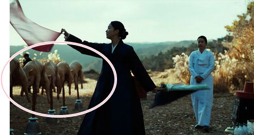 영화 '파묘' 예고편 화면캡처[사진출처=쇼박스]