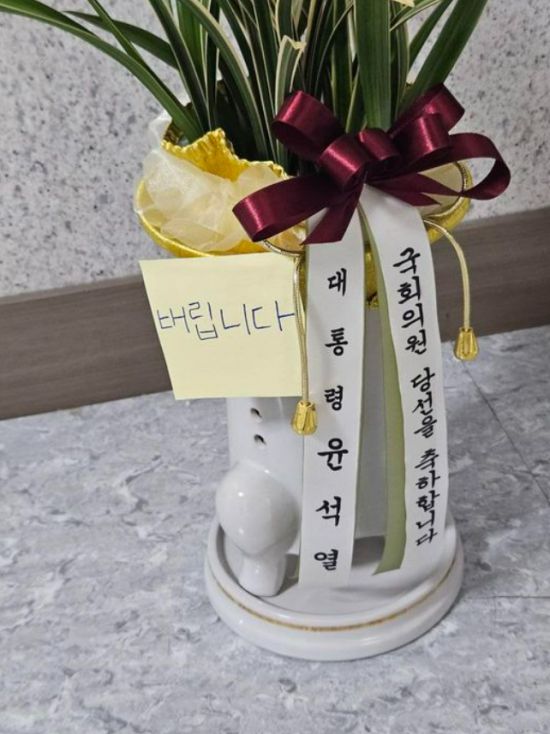 김준형 조국혁신당 사회관계망서비스(SNS)에서 캡처