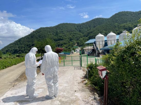 방역점검반이 도내 한 양돈농가를 점검하고 있다. [사진제공=경남도청]
