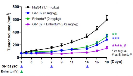 유방암 쥐 모델에서 GI-102와 ADC 약물인 엔허투를 병용했을 때 항암 활성 시너지가 나타난 그래프[사진제공=지아이이노베이션]
