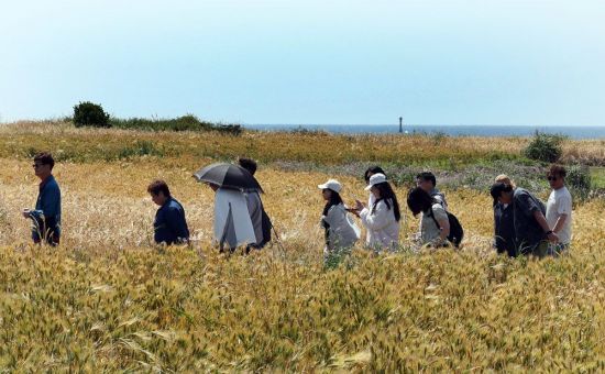 관광객들이 가파도 올레길을 걷고 있다.  사진=조용준 기자 jun21@