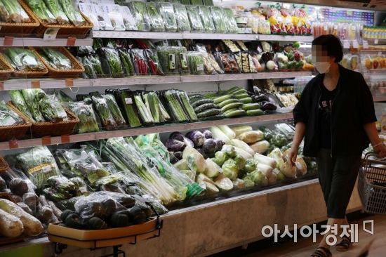 서울 시내 한 대형마트에서 한 시민이 장을 보고 있다. /문호남 기자 munonam@
