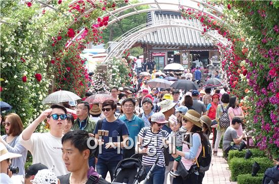 곡성세계장미축제의 모습.