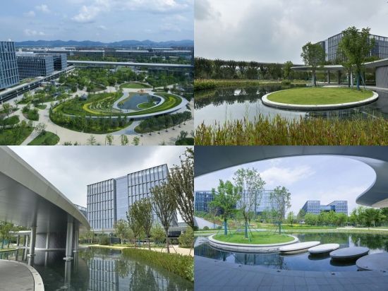 알리바바 항저우 시시캠퍼스 C구역 중앙에 꾸며진 정원과 인공호수. [사진=이명환 기자, 알리바바 제공]