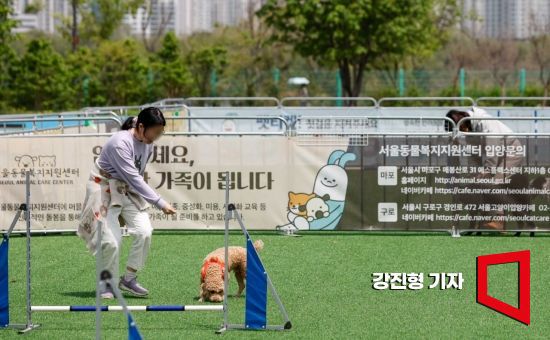 지난해 서울 여의도 한강공원 수영장에 마련된 '반려인-반려견 임시쉼터'의 모습. 사진=강진형 기자aymsdream@