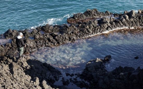경주 읍천 해안에서 한 사람이 낚시를 하고 있다