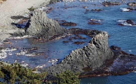 솟아오른 주상절리