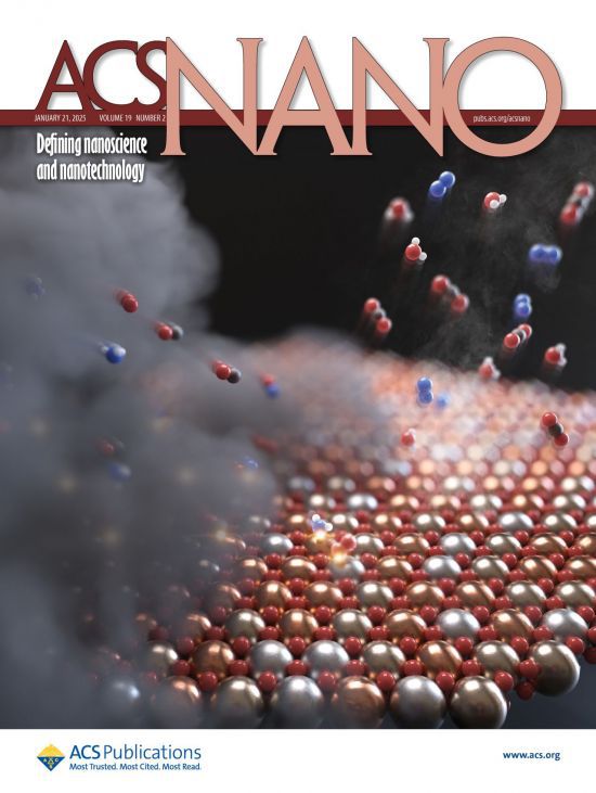 ACS Nano 표지 이미지. 촉매 표면(바닥에 깔린 물질)에서 미세먼지 전구체가 반응하는 모습을 형상화 했다.