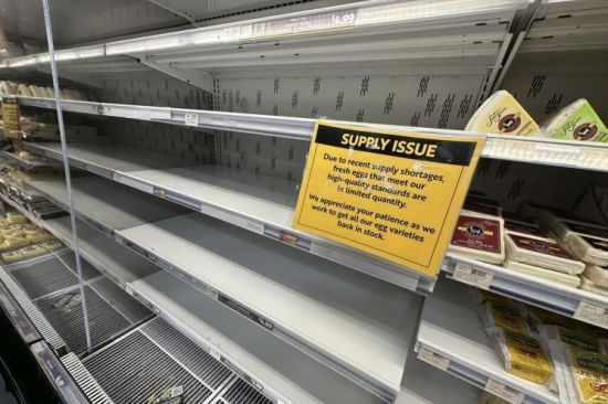 지난 1월 미국 콜로라도주 덴버의 한 식품매장에서 공급부족으로 계란 판매 진열대가 텅 비어있는 모습. AP·연합뉴스