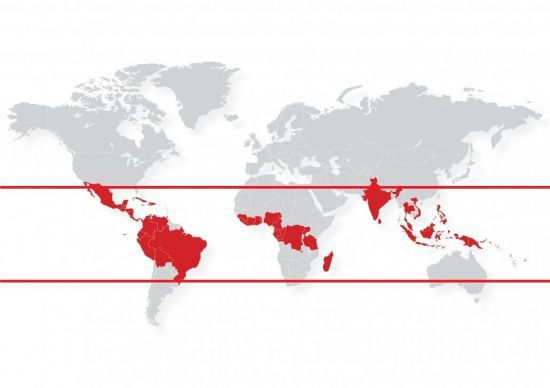 카카오 나무가 병충해 없이 자라는 지구상 유일한 지역인 '코코아 벨트'. 국제 코코아 기구(ICCO) 홈페이지