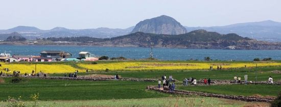 전망대 가기전 뒤 돌아서서 보면 아름다운 풍경을 만날 수 있다