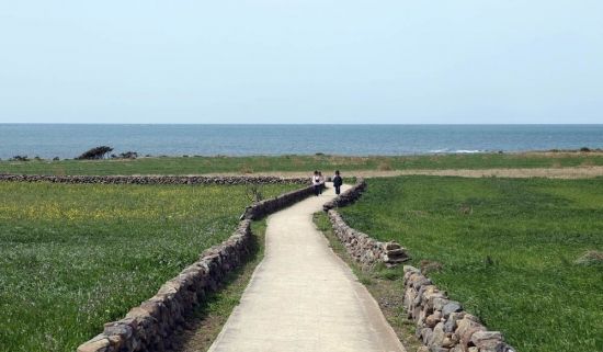 돌담길을 따라 산책을 즐기고 있는 여행객들