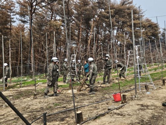 제50사단 영덕대대, 산불 피해 농가에 일손지원 나서. 영덕군 제공