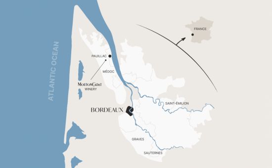 '무똥 까데(Mouton Cadet)'의 포도밭과 와이너리가 있는 프랑스 보르도.