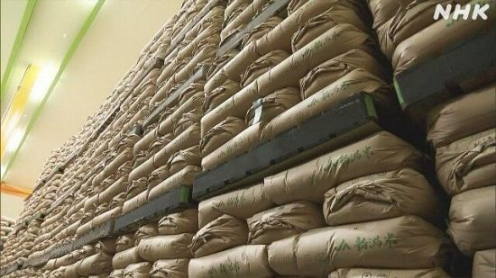 일본 정부가 비축해둔 쌀. NHK.