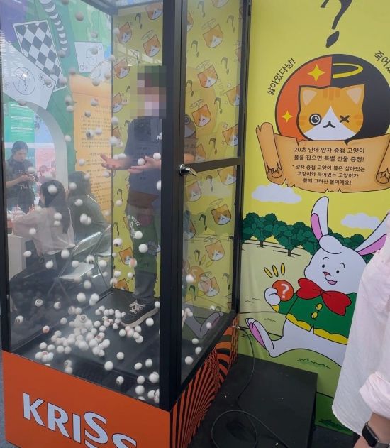 한 어린이가 양자의 중첩을 이해하기 위한 '슈뢰딩거의 고양이' 체험물을 경험하고 있다. 사진=백종민 테크 스페셜리스트