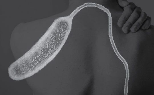 최근 독일과 영국에서 콜레라 환자가 발생한 가운데 원인으로 한 관광지역에서 '성수'라고 홍보하는 우물 때문인 것으로 알려졌다.  19일(현지시간) 영국 일간 미러 등 외신은 유럽 질병예방통제센터(ECDC)의 발표를 인용해서 영국에서 4명, 독일에서 3명의 콜레라 환자가 발생했다고 보도했다. 아시아경제DB