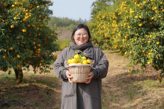 완도 오진영 농부 유자차. 롯데백화점 제공