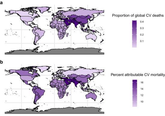 DEHP 노출은 2018년 전 세계에서 발생한 35만6238건의 심장질환 사망과 관련이 있는 것으로 나타났다. 프탈레이트 노출로 인한 심장질환 사망 가운데 중동과 남아시아가 전체의 42%, 동아시아와 태평양 지역이 32%를 각각 차지하는 것으로 분석됐다. Lancet eBiomedicine/Leonardo Trasande et al.