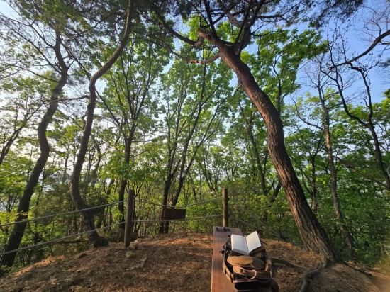 하남 검단산 등정시 소설 '토지'를 읽었다.