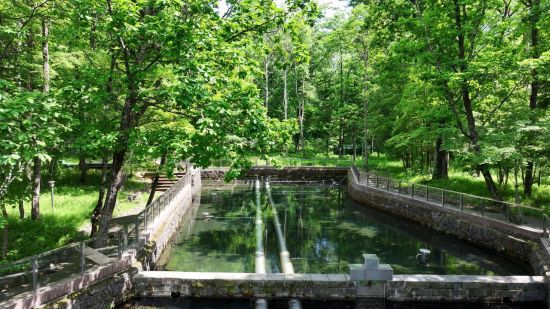 백산수의 수원지인 중국 길림성 조선족 자치주 안도현 이도백하 '내두천' 전경.