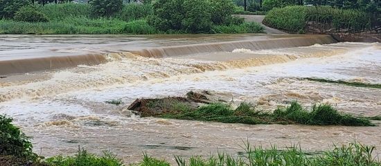 호우주의보 발령에 따라 통제 조치된 세종시 조치원 신안리 홍익대학교 인근 하천. /사진= 충청취재본부 김기완 기자