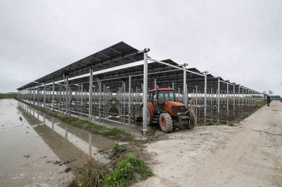 전남 영광군 염산면 월평읍 농경지에 설치된 영농형태 태양광 발전소. 강진형 기자