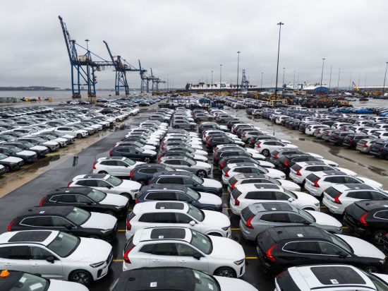 미국 메릴랜드주 볼티모어의 항만에서 운송을 기다리는 차량들. EPA연합뉴스