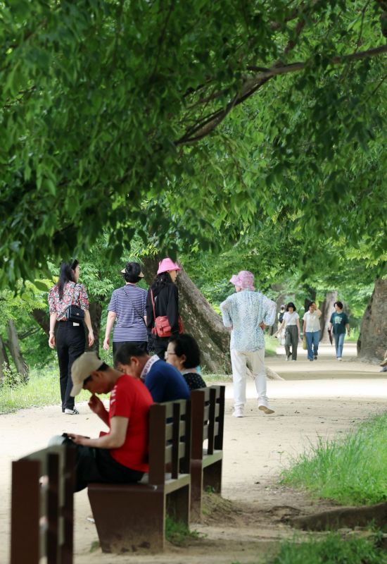 전남 담양군 담양읍 관방제림에서 시민들이 산책과 휴식하고 있다. 연합뉴스