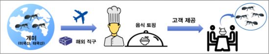 위반 행위 모식도. 식품의약품안전처.