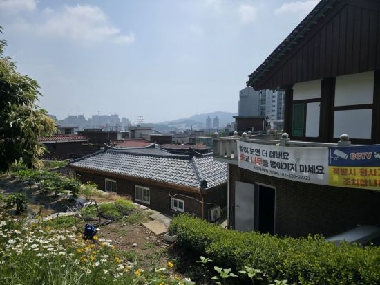 목단을 도난 당했다는 종친회 텃밭 앞에 '같이 보면 더 예뻐요, 꽃과 나무를 뽑아가지 마세요. 적발 시 형사 조치합니다'라는 현수막이 붙어있다. 최영찬 기자